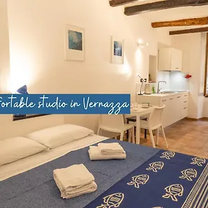 Zia Rina Apartment Vernazza